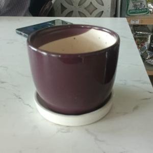 ceramic cups